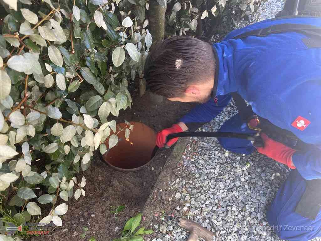 Rioolvliegjes Zevenaar Rioolvliegjes Zevenaar
